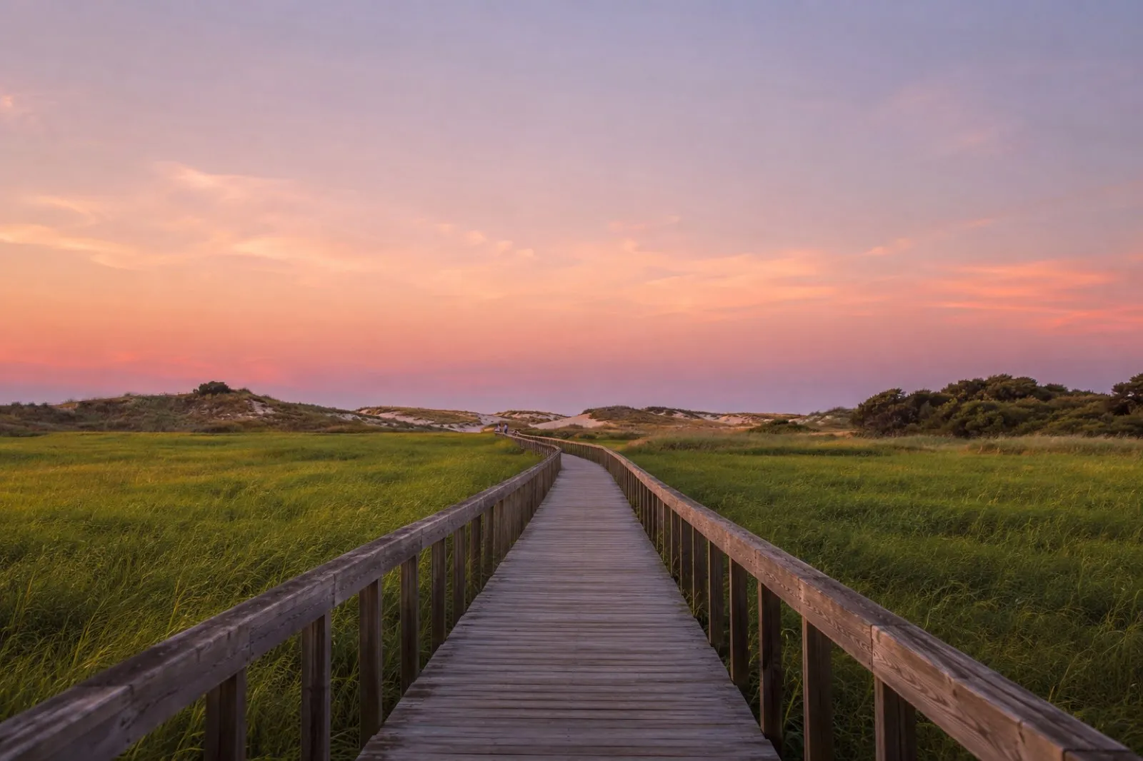 Wooden walkway crossing Comporta rice fields